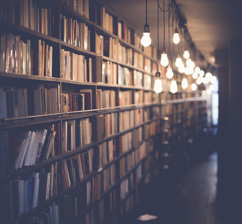 The Lean Startup